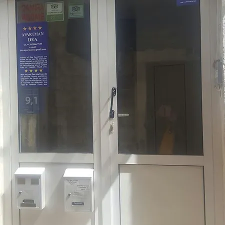 디 Ii *